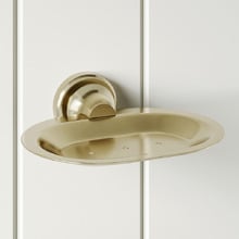 Clementine Wall Mounted Soap Dish
